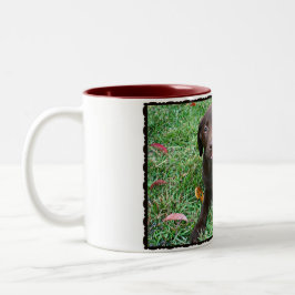 Taza Bicolor Chocolate Lab Coffee Mug