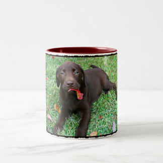 Taza Bicolor Chocolate Lab Coffee Mug
