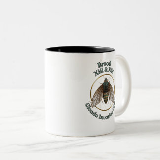 Taza Bicolor Cicada mug Cicada 2024 Brood XIII y XIX