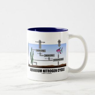 Taza Bicolor Ciclo de nitrógeno del acuario (ecología)