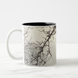 Taza Bicolor Cielo Blanco Y Sol Dramáticamente Enmarcado Por Ár