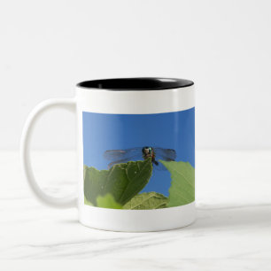 Taza Bicolor Cierre de una libélula contra un cielo azul brilla