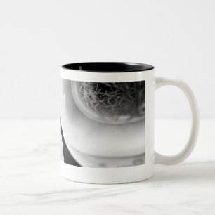 Taza Bicolor Ciérrese encima de mirada en la división celular