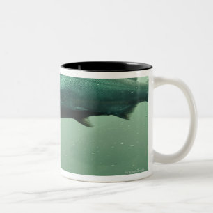 Taza Bicolor Ciérrese encima de tiro del funcionamiento de