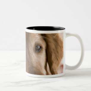 Taza Bicolor Ciérrese para arriba de perro de oro del labrador