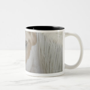 Taza Bicolor Ciérrese para arriba de una manada de los caballo