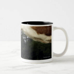 Taza Bicolor Ciérrese para arriba de vaca en paisaje rural