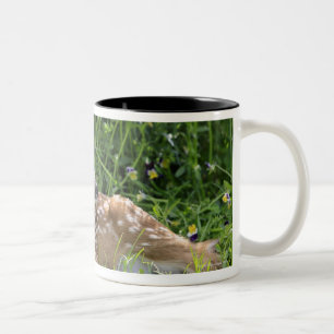 Taza Bicolor ciervos Blanco-atados (virginianus del Odocoileus)
