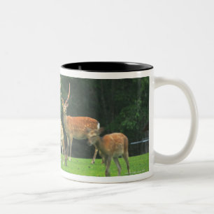 Taza Bicolor Ciervos de Sika que se colocan en un claro