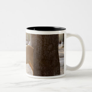 Taza Bicolor Ciervos en la ciudad