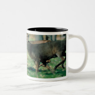 Taza Bicolor Ciervos que corren en bosque