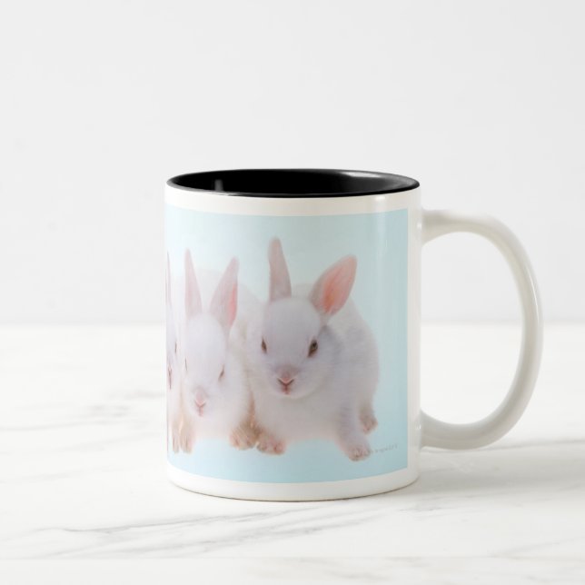 Taza Bicolor Cinco conejos (Derecha)