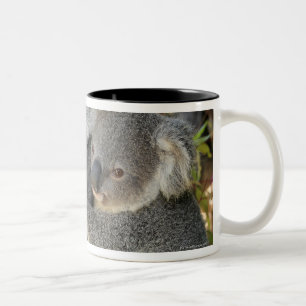 Taza Bicolor Cinereus Queensland del Phascolarctos de la koala.