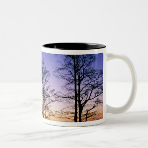 Taza Bicolor Cipreses calvos silueteados al atardecer,