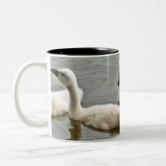 Taza Bicolor Cisne