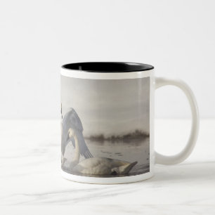 Taza Bicolor Cisnes de Trumpeter en el río Madison en invierno