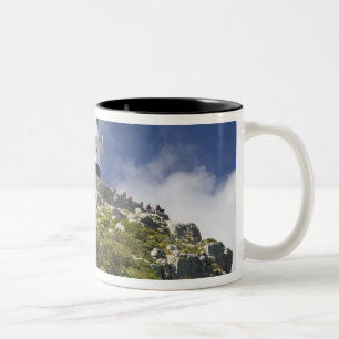 Taza Bicolor Ciudad del Cabo, Sudáfrica. Un faro en la