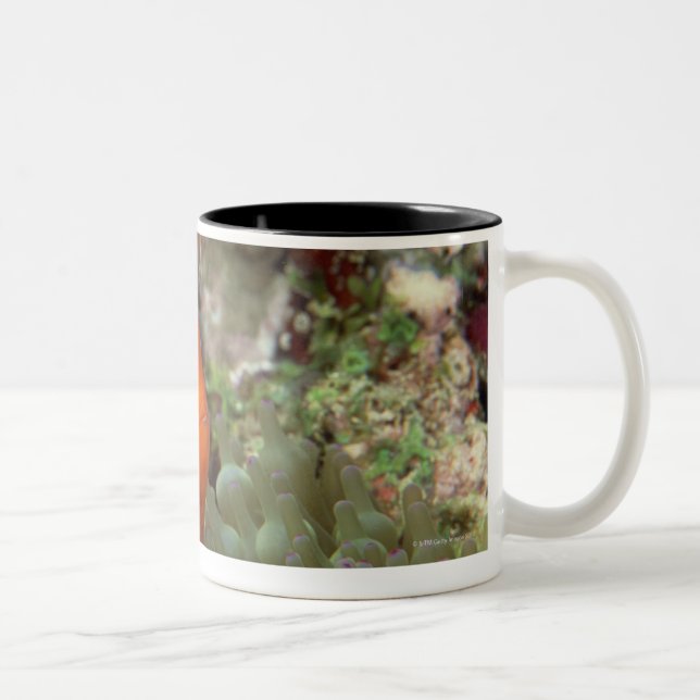 Taza Bicolor Clownfish 2 (Derecha)