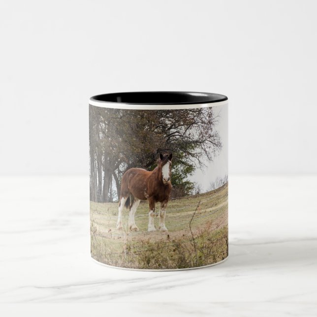 Taza Bicolor Clydesdale (Centro)