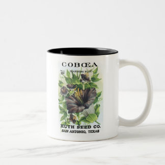 Taza Bicolor Coboea, Huth Seed Co