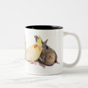 Taza Bicolor Cockatiels