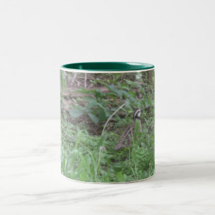 Taza Bicolor Codornices masculinas de Bob Qhite