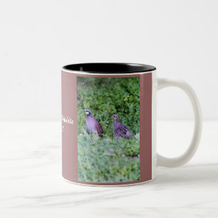 Taza Bicolor Codornices septentrionales