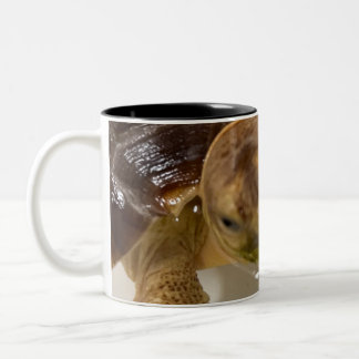 Taza Bicolor Coffee mug
