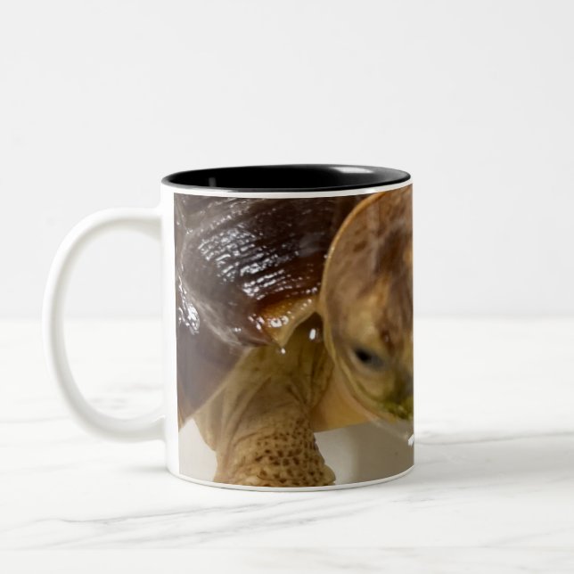 Taza Bicolor Coffee mug (Izquierda)