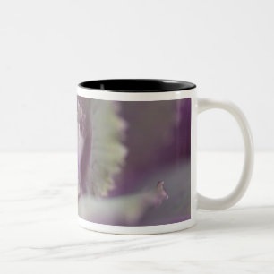 Taza Bicolor Col rizada decorativa