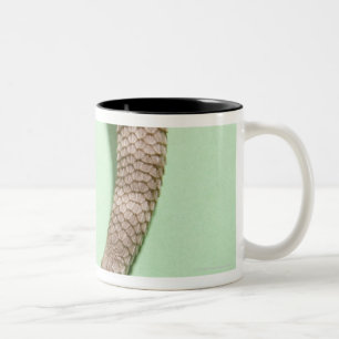 Taza Bicolor Cola del dragón barbudo