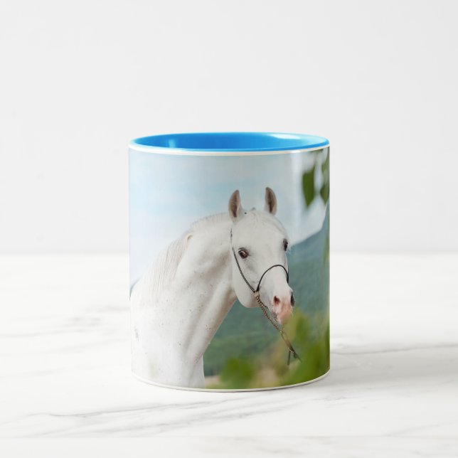 Taza Bicolor colección del caballo. árabe (Centro)