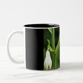 Taza Bicolor Colibrí