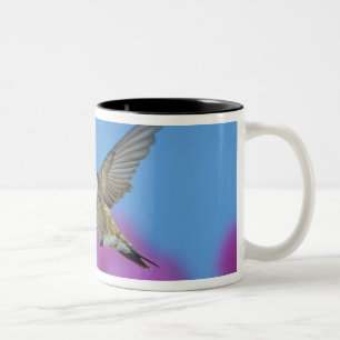 Taza Bicolor Colibrí de garganta rubí