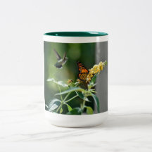Colibrí y mariposa
