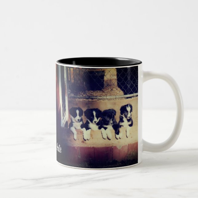 Taza Bicolor Collie de borde cachorros personalizada (Derecha)