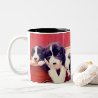 Taza Bicolor Collie de borde corto cachorra arte animal