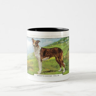 Taza Bicolor Collie Liso-Revestido