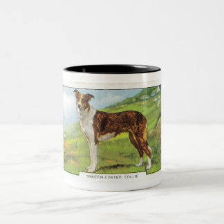 Taza Bicolor Collie Liso-Revestido