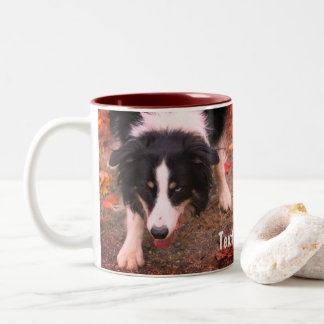 Taza Bicolor Collie Stare de borde personalizado