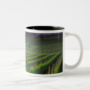 Taza Bicolor Color del amanecer en la niebla distante detrás