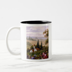 Taza Bicolor Comodidad 1.tif del país GAU1471