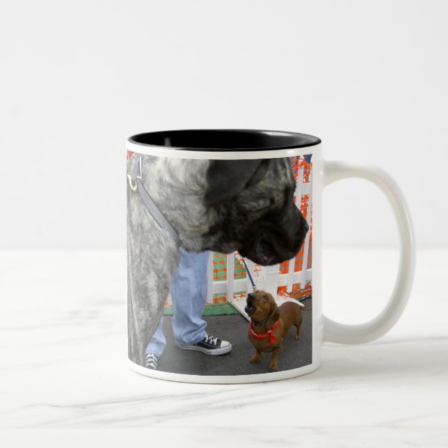 Taza Bicolor ¿Complejo napoleónico? (Derecha)