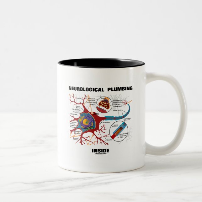 Taza Bicolor Complemento neurológico interior (neurona / sinaps (Derecha)