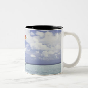 Taza Bicolor Composición de Digitaces