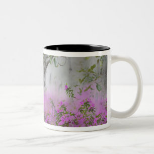 Taza Bicolor Compuesto digital de azaleas y árbol de magnolia