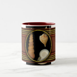 Taza Bicolor Conchas - Concología - Caracoles marinos