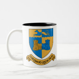 Taza Bicolor Condado de Longford Irlanda