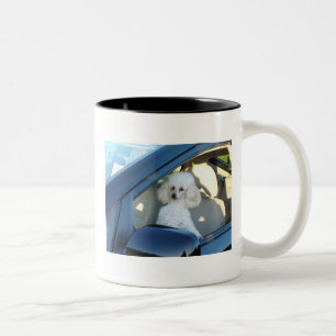 Taza Bicolor Conductor del caniche