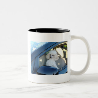Taza Bicolor Conductor del caniche